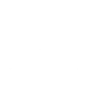 Миссия